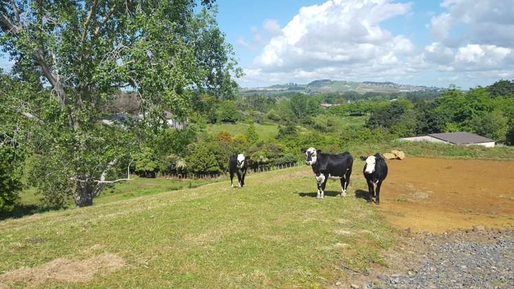 197 Buckville Road Buckland_13