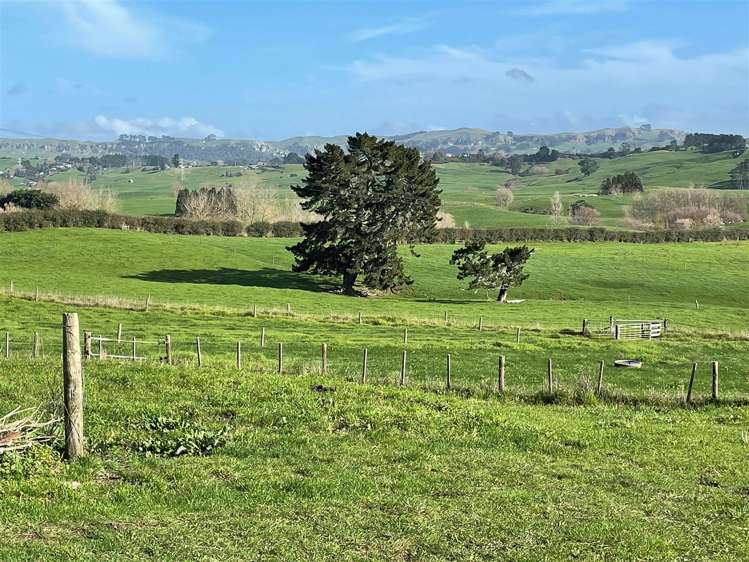 291 Ginn Road Huntly_32