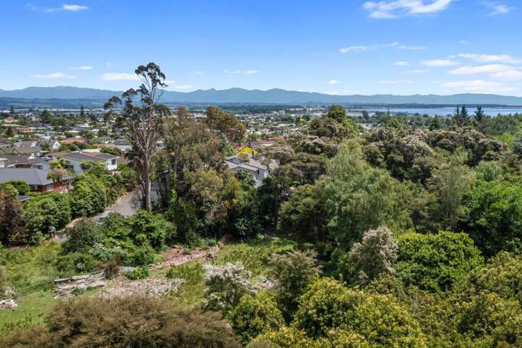 51 Selbourne Avenue Richmond_13