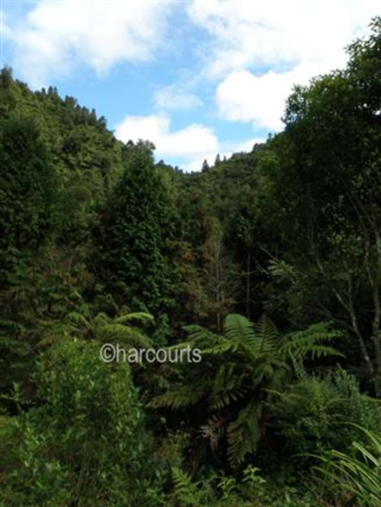 102 Pakihi Road Opotiki Coastal_14