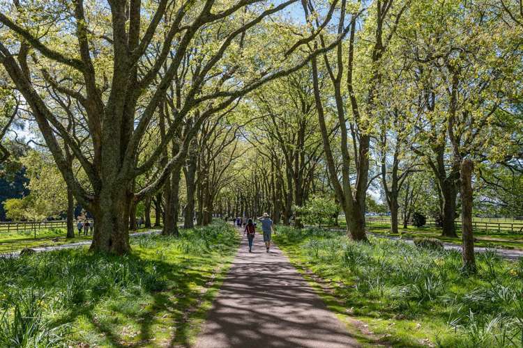 207/287 Onehunga Mall Onehunga_40