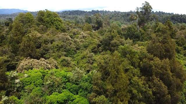 Wangapeka Road Karamea_1