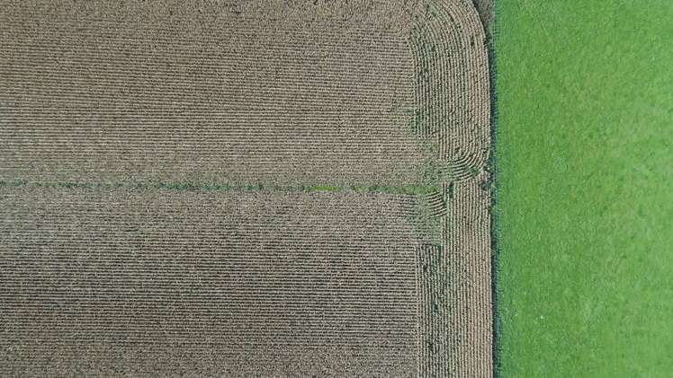 420a Kahutara Road Kahutara_8