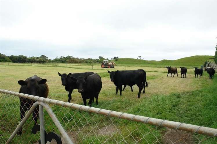 32 Hadfield Street Patea_0