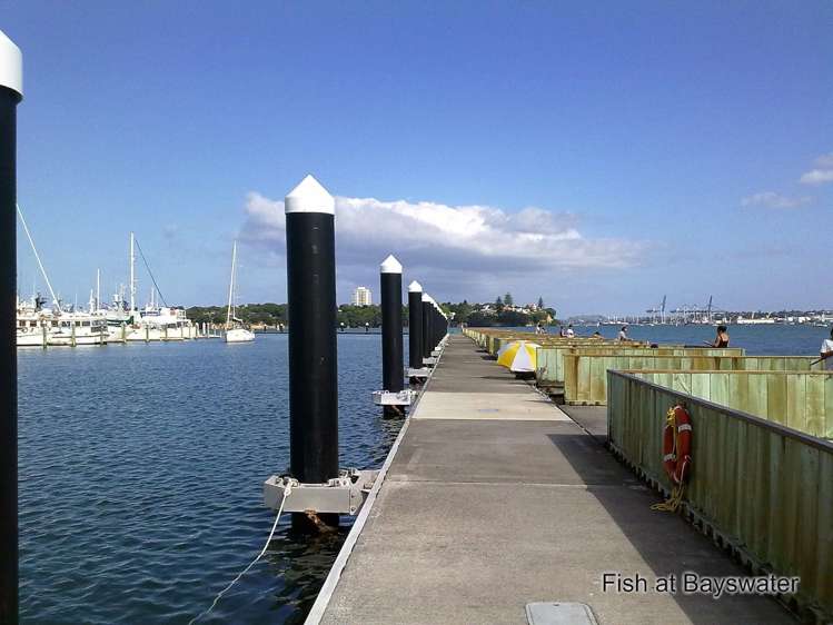 4/53 Merani Street Belmont_23