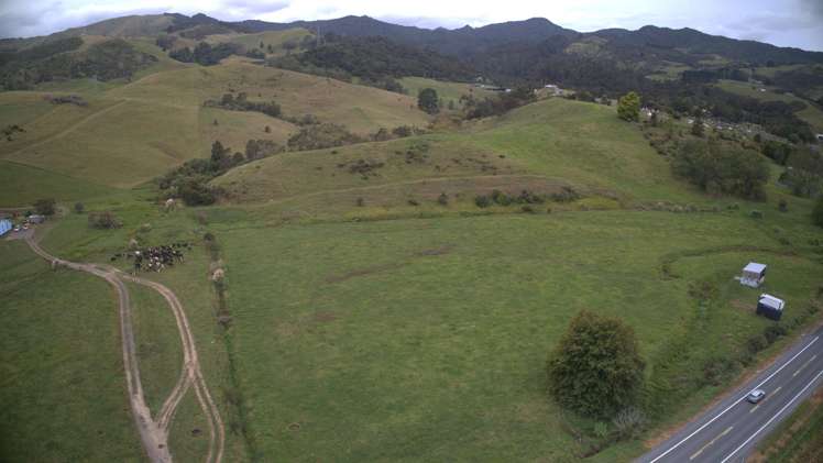 7337 State Highway 2 Karangahake_7