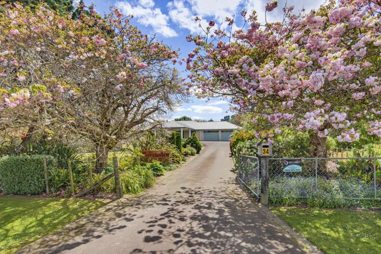 34 Gordon Place Levin_20