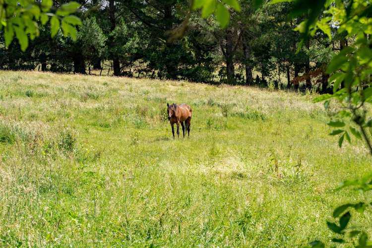 432 Masterton Stronvar Road Masterton_17