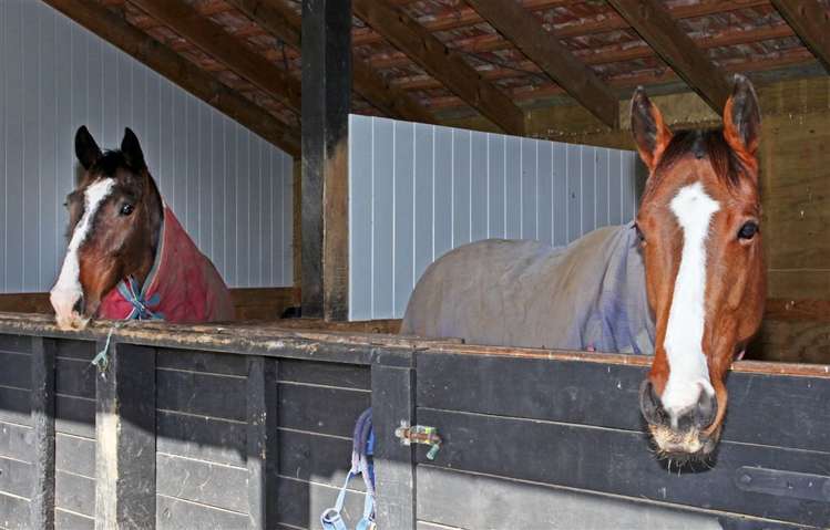 203g Karaka North Road Karaka_29