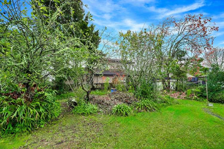 104 Awatere Avenue Beerescourt_7