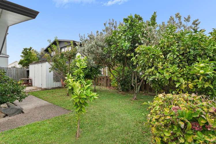 1 Sunny Bay Road Matua_12
