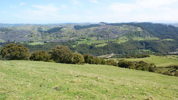 1050 Ellis Wallace Road Eskdale_16