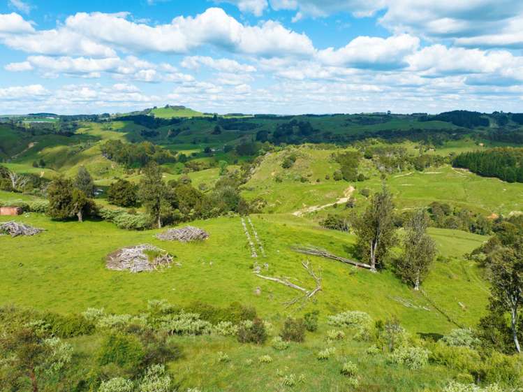 242 Parsons Road Onewhero_10