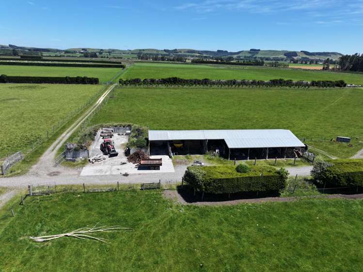 389 Mckenzie Road Browns_3