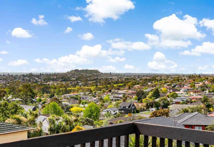 481 Hillsborough Road Mount Roskill_13