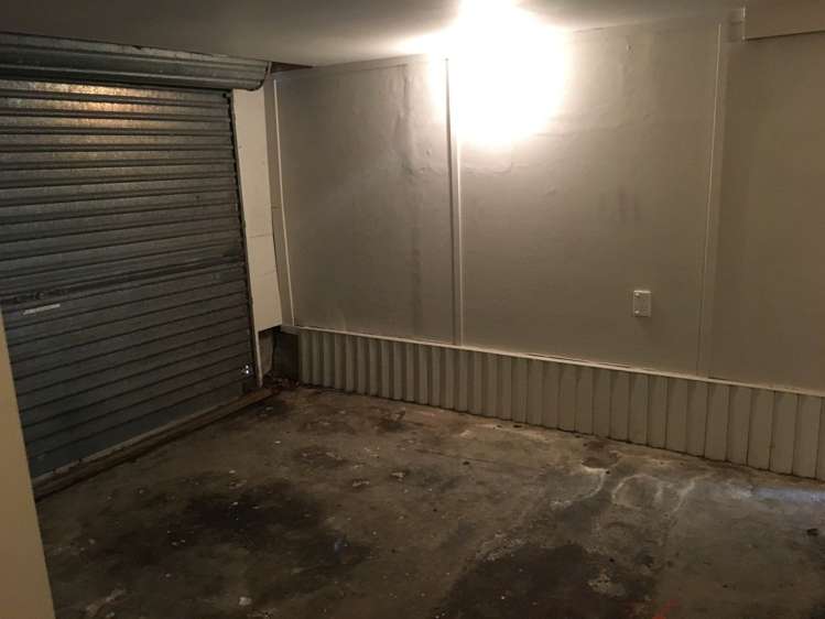 5 Knox Road Hillpark_5