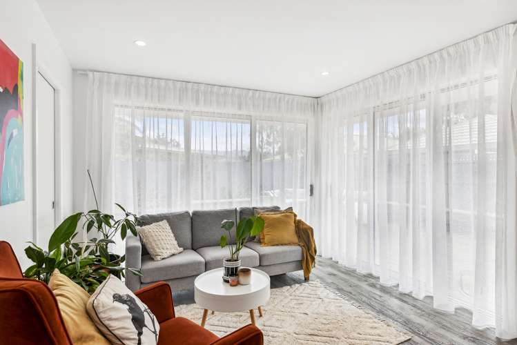 56 Salisbury Street Levin_5