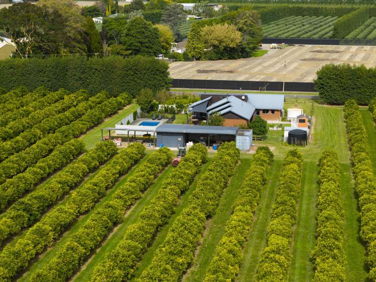 18 Jackson Road Waerengaahika_23