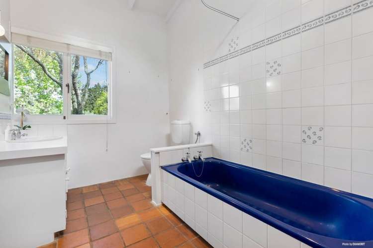 133 Ara-Kotinga Whitford_24