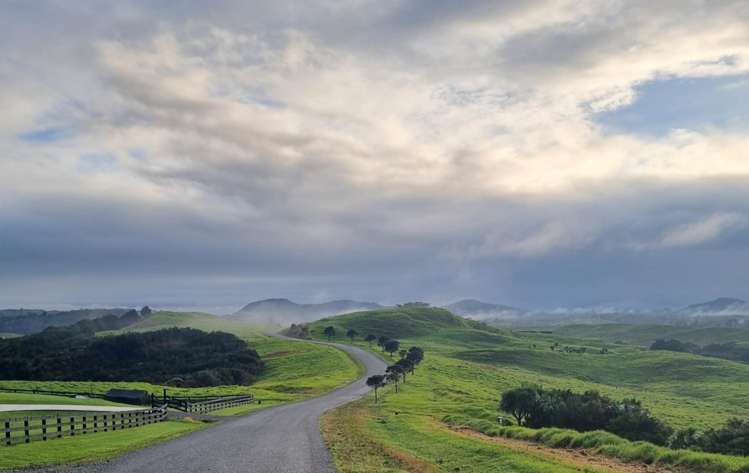 6 Country Heights Terrace Kaiwaka_10