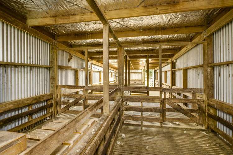 4332 Puketitiri Road Hastings Country_22