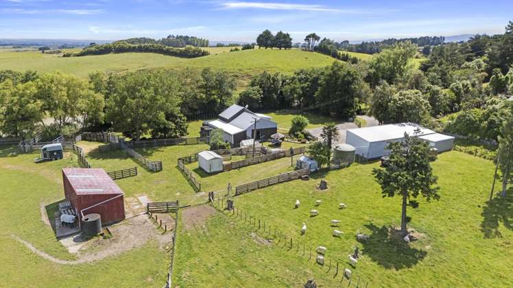 479 Kahuterawa Road Linton_13