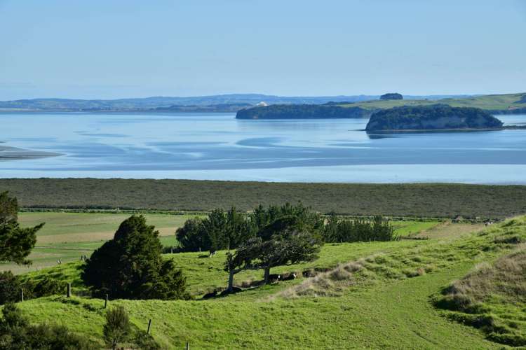 3356 Kaipara Coast Highway Glorit_46