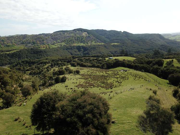 1050 Ellis Wallace Road Eskdale_13