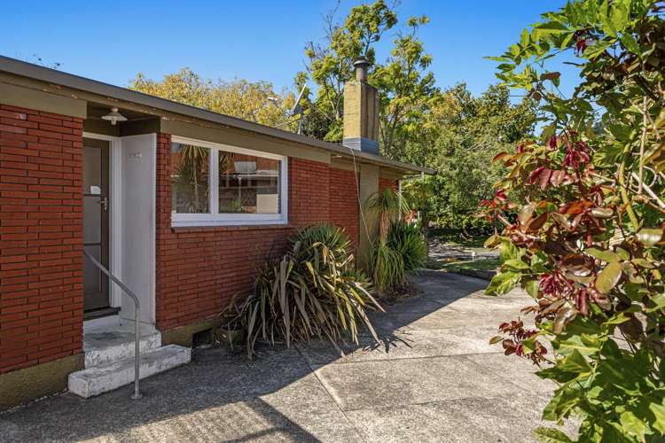 210 King Street Whakatane_13