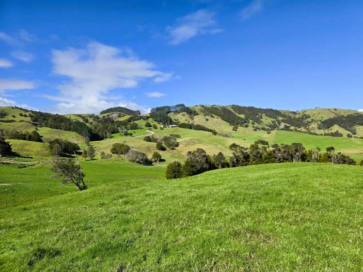 Whakahara Road Dargaville_9