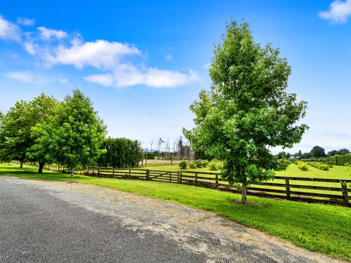 30B Thompsons Track_3