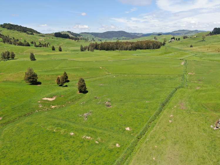 Kahuwera Road Piopio_21