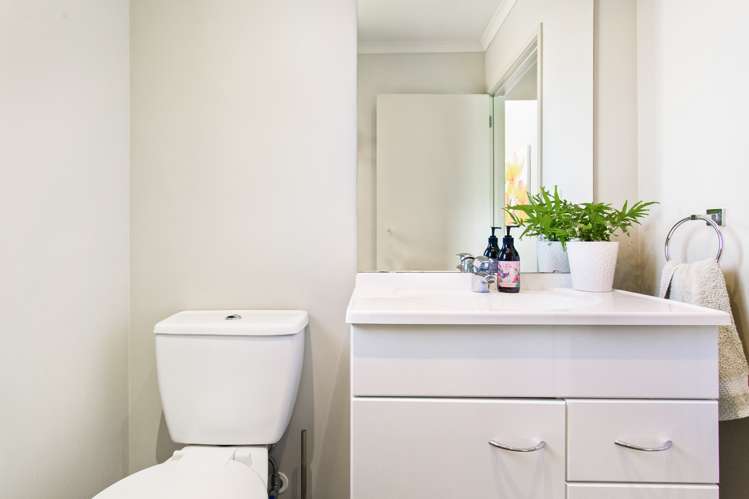 22b Knox Road Swanson_21