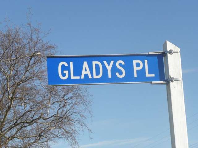 11 Gladys Place Levin_1