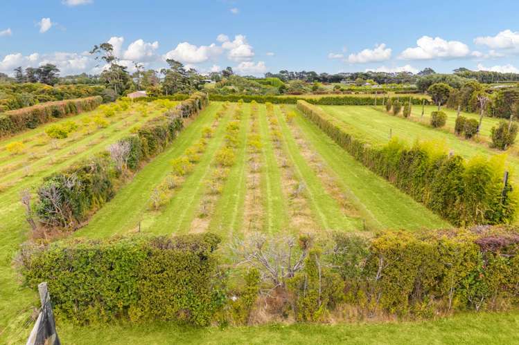 71 Mahana Road Waimauku_5