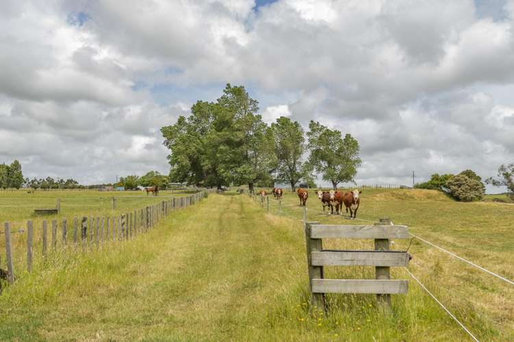 1358 Makirikiri Road Marton_40