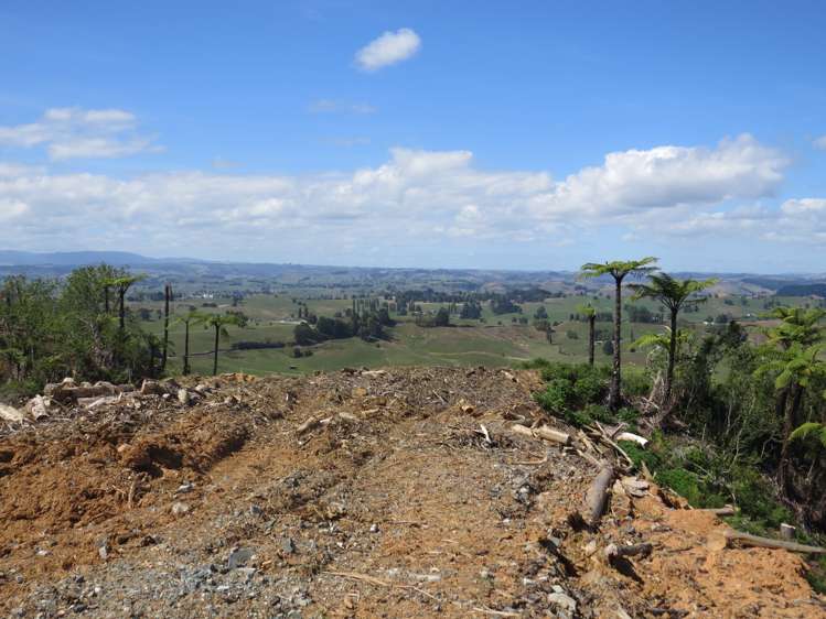Waitomo Valley Road Otorohanga_21