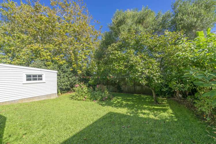 208 Richmond Road Grey Lynn_5