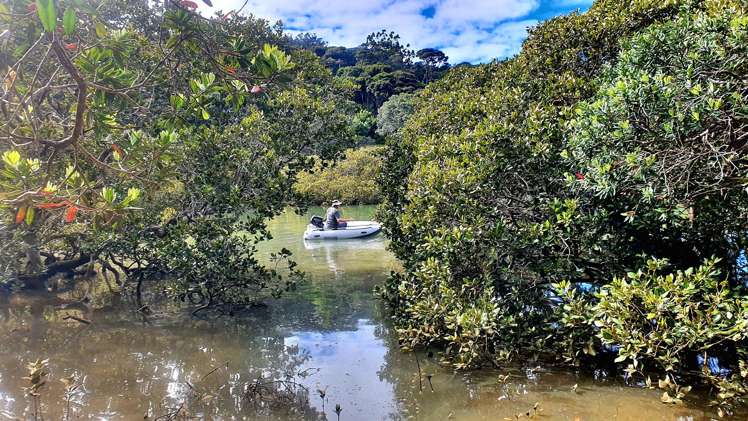 Lot 4 DP66008 North Cove Kawau Island_18