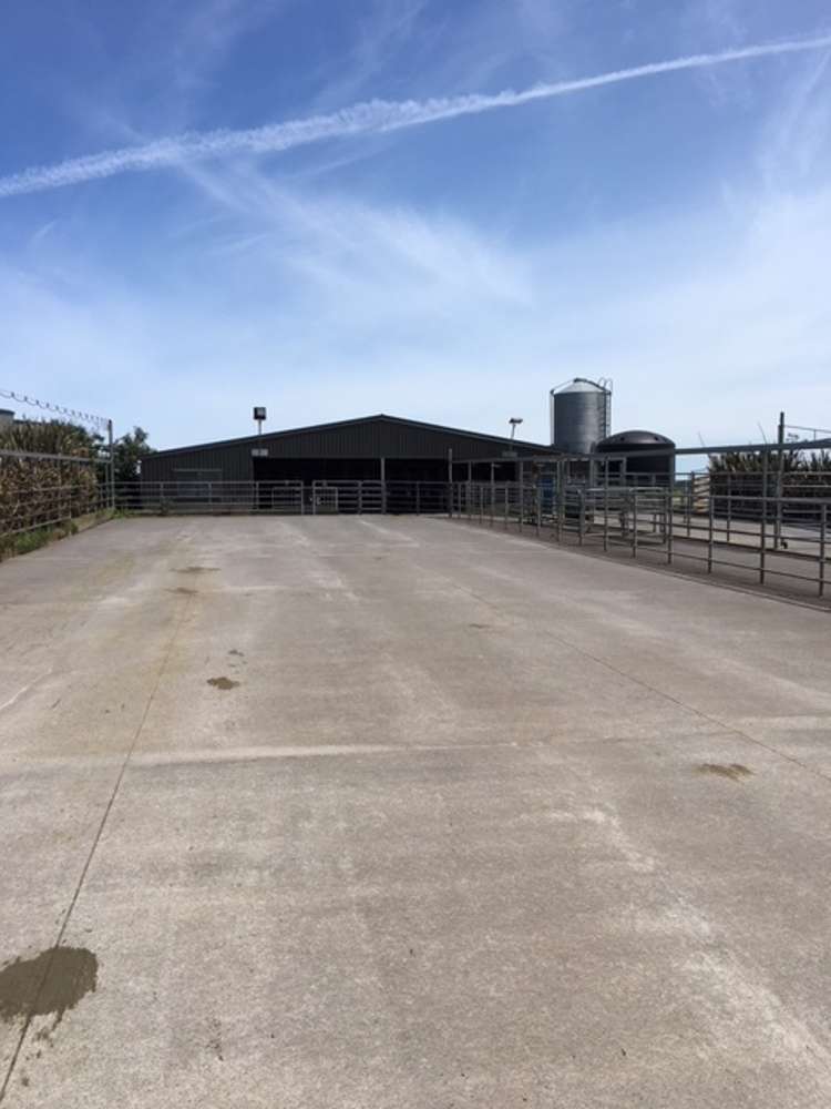 1703 Eltham Road Riverlea_10