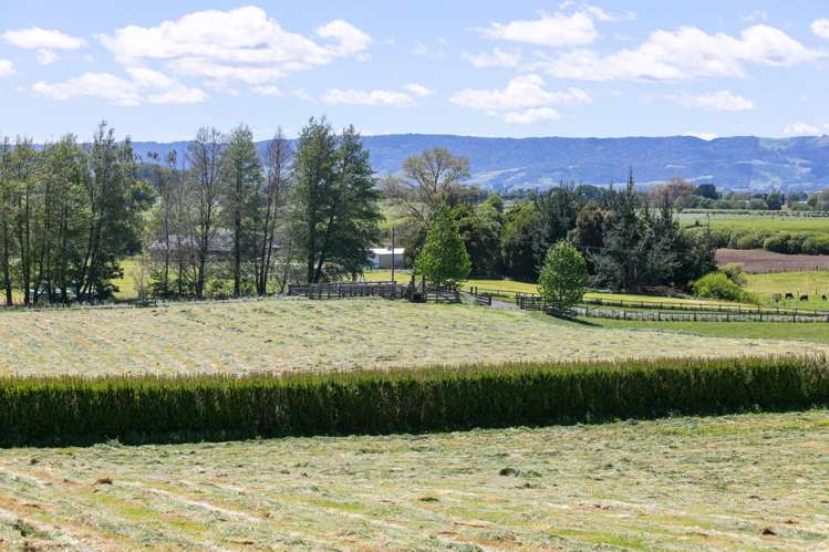 231 Matai Road Matamata_5