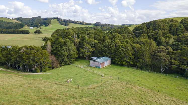 173 Day Road Wellsford_21