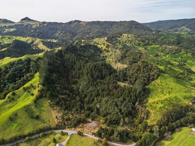 1 Omaunu Road Kaeo_3