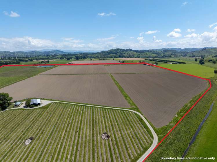 Whitmore Road Ormond_4