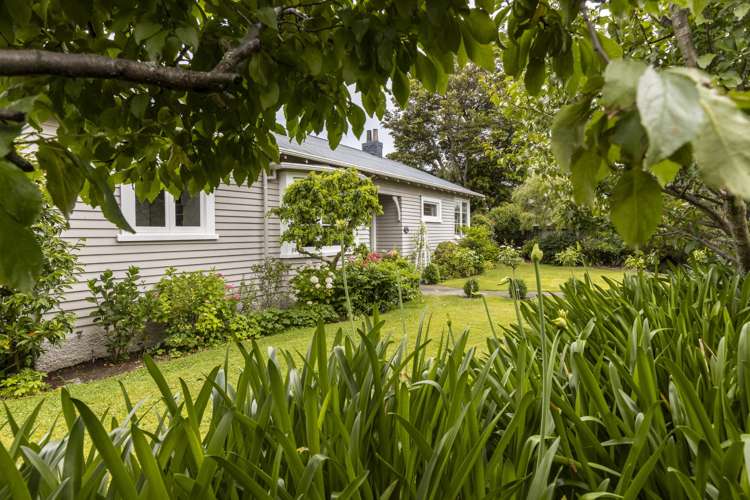 116 Maxwell Road Blenheim Central_20