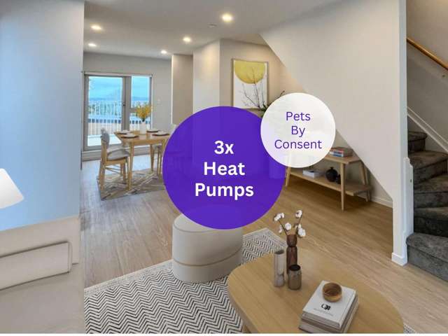 A Beautiful 3 Bedroom Home in Beach Haven
