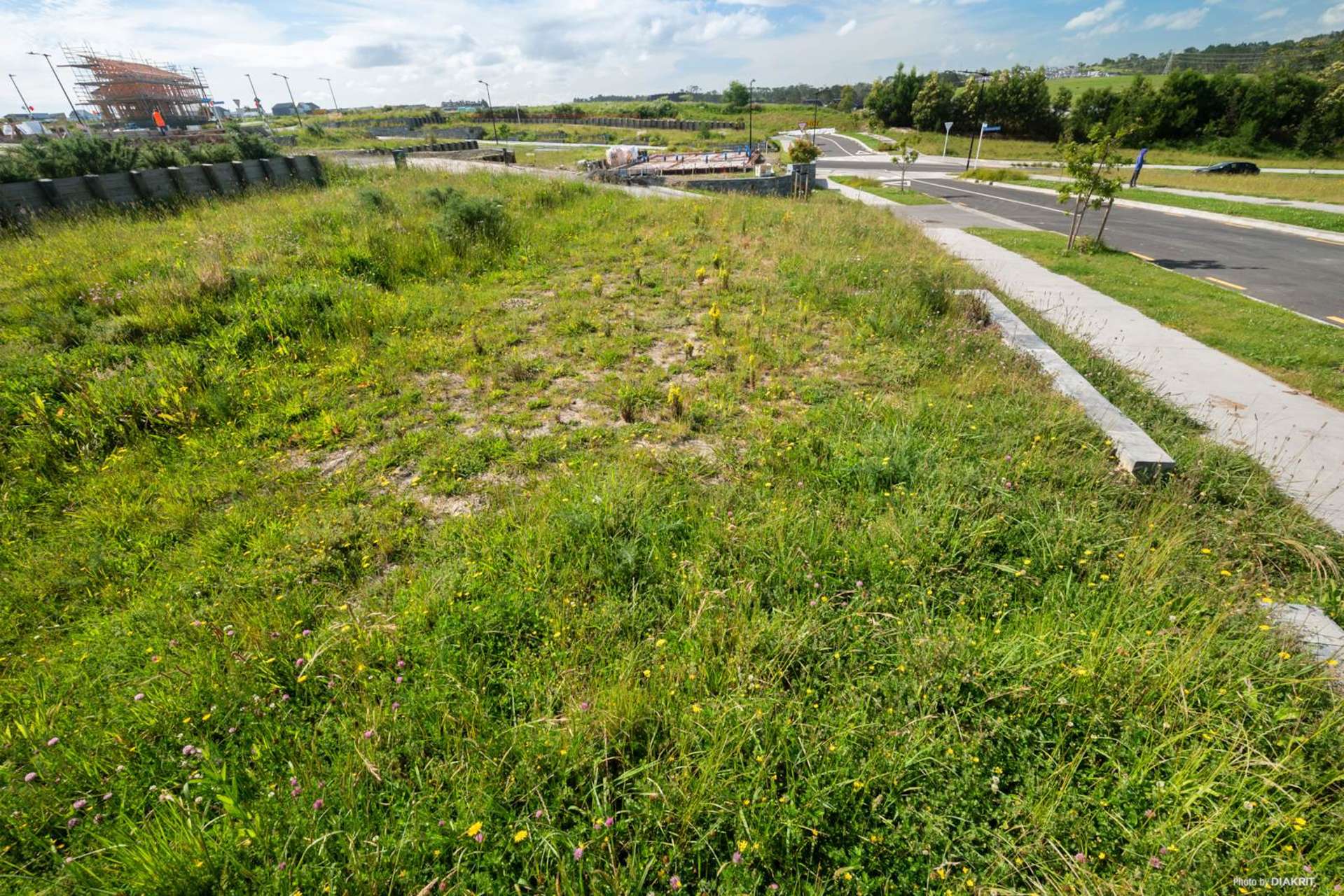 5 Neinei Street Westgate_0