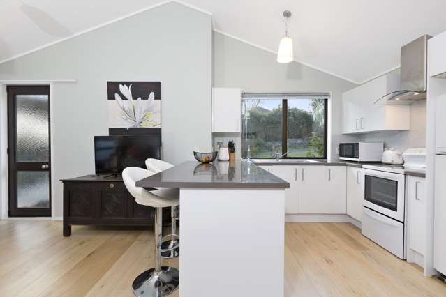 40b Albrecht Avenue Mount Roskill_3