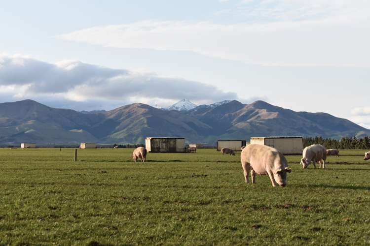 724 Medbury Road Hawarden_10