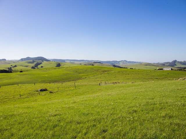 450a Settlement Road Kaiwaka_2